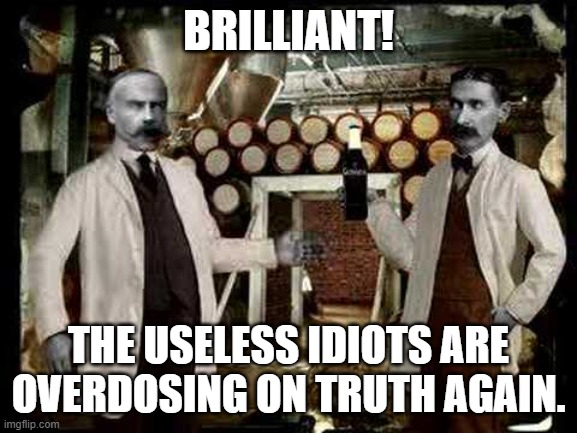 Brilliant! | BRILLIANT! THE USELESS IDIOTS ARE OVERDOSING ON TRUTH AGAIN. | image tagged in brilliant | made w/ Imgflip meme maker