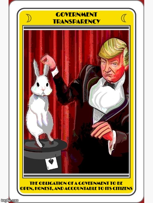 GOVERNMENT TRANSPARENCY | GOVERNMENT
TRANSPARENCY; THE OBLIGATION OF A GOVERNMENT TO BE OPEN, HONEST, AND ACCOUNTABLE TO ITS CITIZENS | image tagged in government transparency,jeffrey epstein,sexual assault,sexual predator,release the files,trump | made w/ Imgflip meme maker