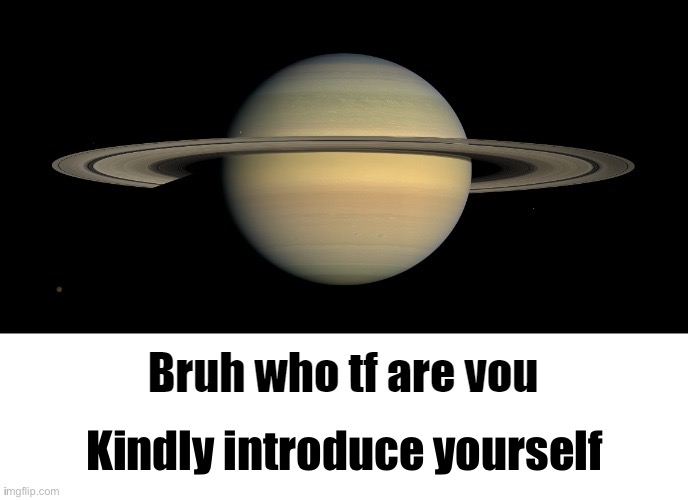 Bruh who tf are you LMAOOO | Kindly introduce yourself | image tagged in bruh who tf are you lmaooo | made w/ Imgflip meme maker