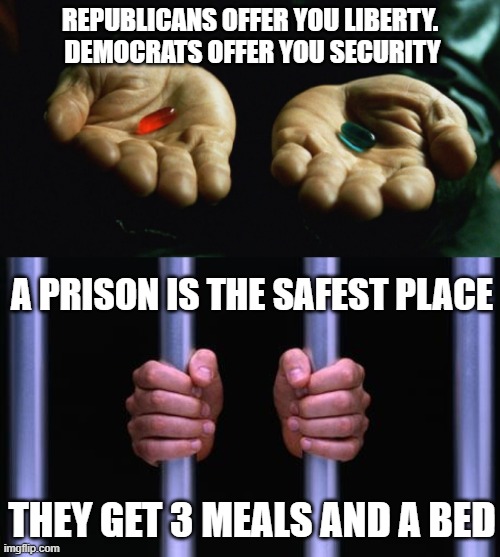 REPUBLICANS OFFER YOU LIBERTY.  DEMOCRATS OFFER YOU SECURITY; A PRISON IS THE SAFEST PLACE; THEY GET 3 MEALS AND A BED | image tagged in two pills,prison bars | made w/ Imgflip meme maker