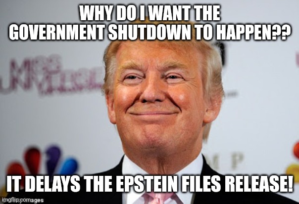 No wonder | WHY DO I WANT THE GOVERNMENT SHUTDOWN TO HAPPEN?? IT DELAYS THE EPSTEIN FILES RELEASE! | image tagged in trump,donald trump,maga,jeffrey epstein,epstein,nevertrump | made w/ Imgflip meme maker