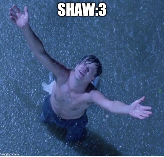 Shawshank redemption freedom | SHAW:3 | image tagged in shawshank redemption freedom | made w/ Imgflip meme maker