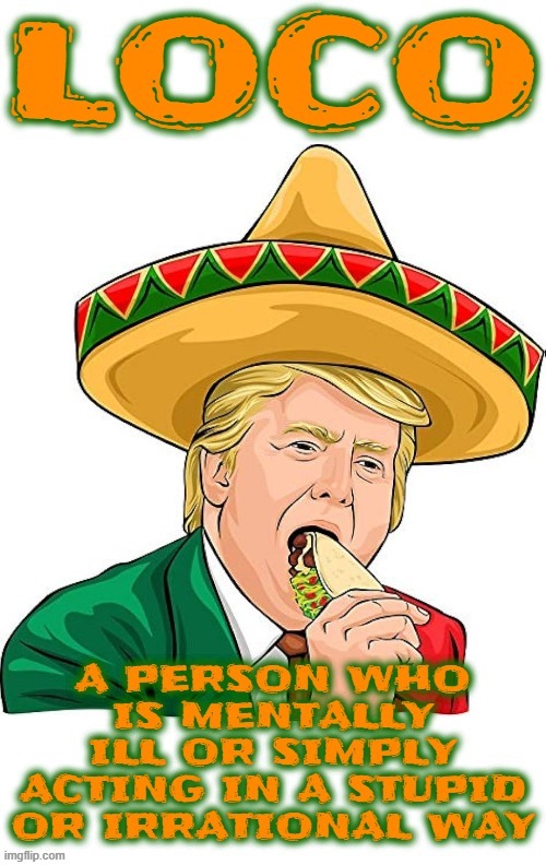 LOCO | image tagged in loco,stupid,crazy,igorant,trump,idiot | made w/ Imgflip meme maker