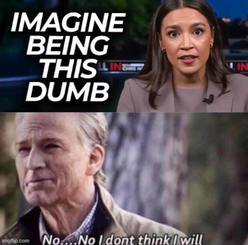 image tagged in no i don't think i will | made w/ Imgflip meme maker