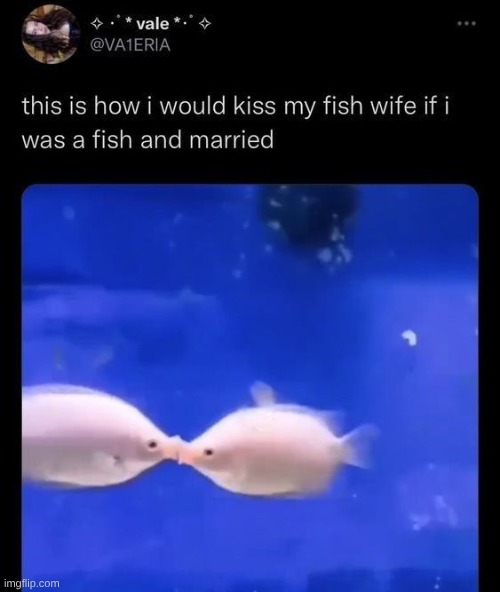 imagine having a fish vacuum | made w/ Imgflip meme maker