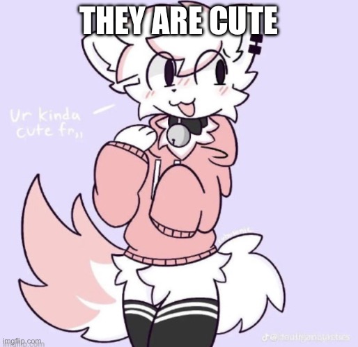 boykisser glow up | THEY ARE CUTE | image tagged in boykisser glow up | made w/ Imgflip meme maker