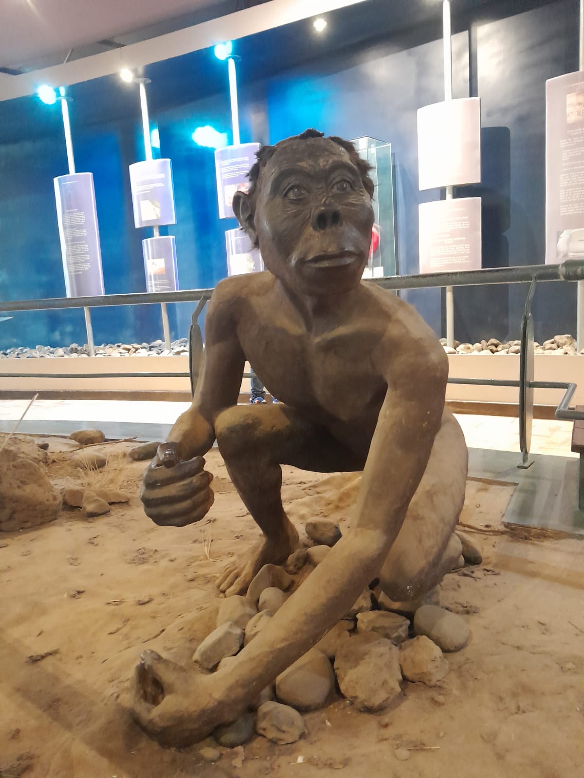 Funny Pic Blank Meme Template