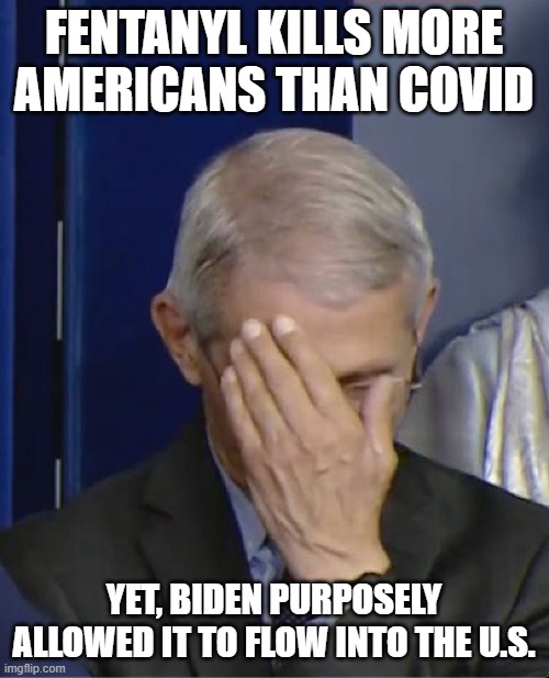 Dr Fauci | FENTANYL KILLS MORE AMERICANS THAN COVID YET, BIDEN PURPOSELY ALLOWED IT TO FLOW INTO THE U.S. | image tagged in dr fauci | made w/ Imgflip meme maker
