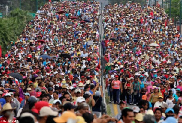 Illegal Aliens' Invasion | image tagged in illegal aliens' invasion | made w/ Imgflip meme maker