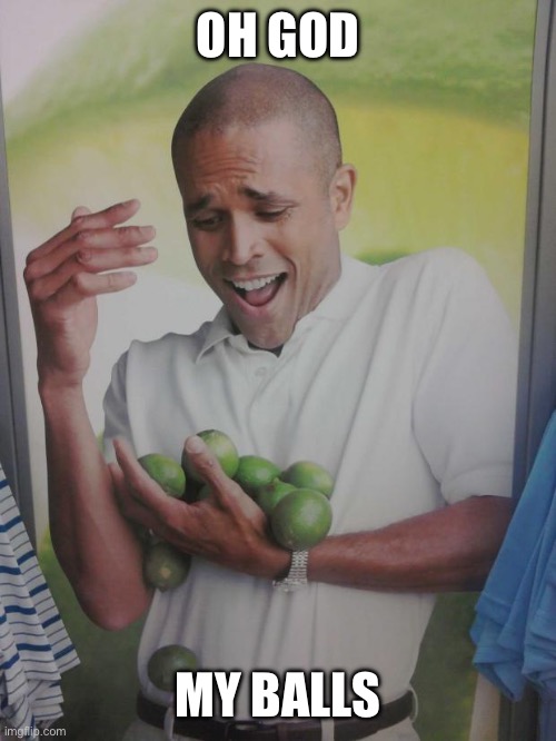 This is kinda dumb lmao | OH GOD; MY BALLS | image tagged in memes,why can't i hold all these limes | made w/ Imgflip meme maker