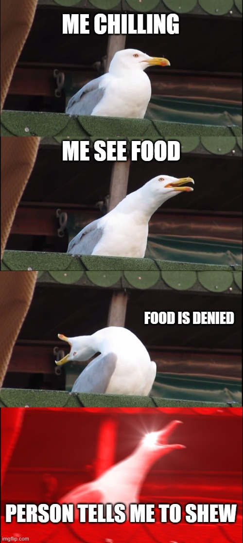 Inhaling Seagull | ME CHILLING; ME SEE FOOD; FOOD IS DENIED; PERSON TELLS ME TO SHEW | image tagged in memes,inhaling seagull | made w/ Imgflip meme maker