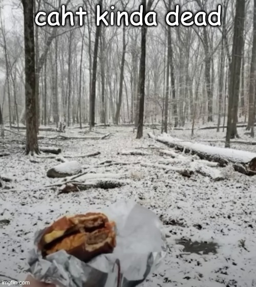welp | caht kinda dead | image tagged in eating a baconator in the woods | made w/ Imgflip meme maker