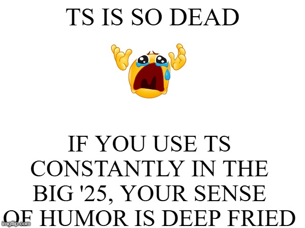 ts bro | TS IS SO DEAD; IF YOU USE TS CONSTANTLY IN THE BIG '25, YOUR SENSE OF HUMOR IS DEEP FRIED | image tagged in dead,why,idk what to put here | made w/ Imgflip meme maker