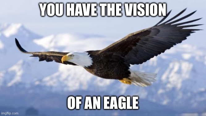 eagle | YOU HAVE THE VISION OF AN EAGLE | image tagged in eagle | made w/ Imgflip meme maker