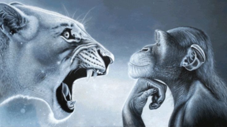 Rage Bait Blank Meme Template