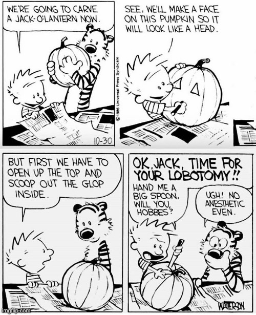Calvin & Hobbes | image tagged in comics,calvin and hobbes,pumpkin carving,lobotomy,jack o lantern | made w/ Imgflip meme maker
