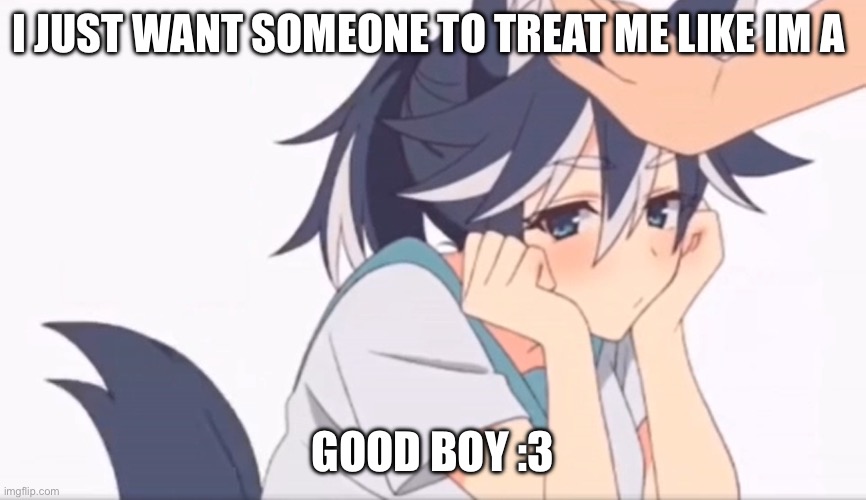 Please just pet me and I’ll gain a new will to live :3 | I JUST WANT SOMEONE TO TREAT ME LIKE IM A; GOOD BOY :3 | image tagged in headpats | made w/ Imgflip meme maker