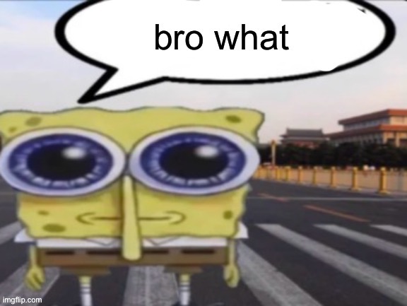 bro what | image tagged in bro what | made w/ Imgflip meme maker