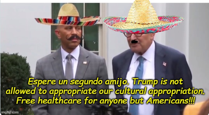 Shutdown | Espere un segundo amijo. Trump is not allowed to appropriate our cultural appropriation. Free healthcare for anyone but Americans!!! | image tagged in shutdown | made w/ Imgflip meme maker