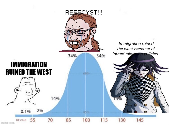 TRUE. | REEECYST!!! Immigration ruined the west because of forced migration policies. IMMIGRATION RUINED THE WEST | image tagged in bell curve | made w/ Imgflip meme maker