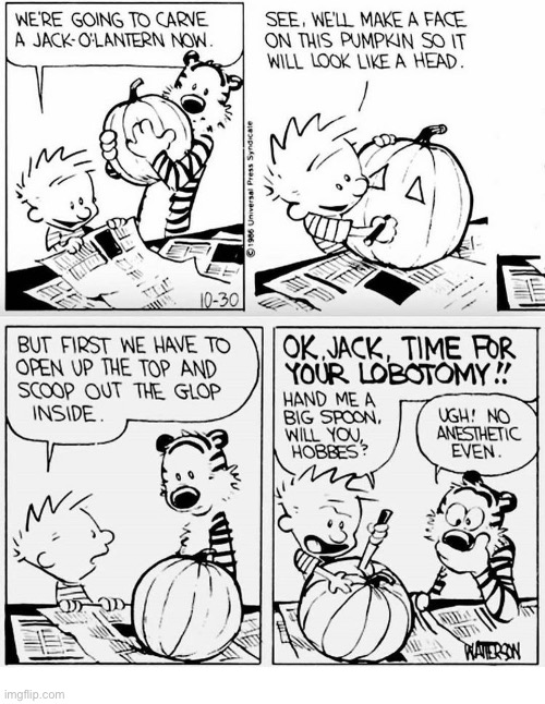 Calvin, the skilled pumpkin surgeon, and Hobbes his intrepid assistant… | image tagged in calvin and hobbes,comics,halloween,pumpkin carving,jack o lantern,lobotomy | made w/ Imgflip meme maker