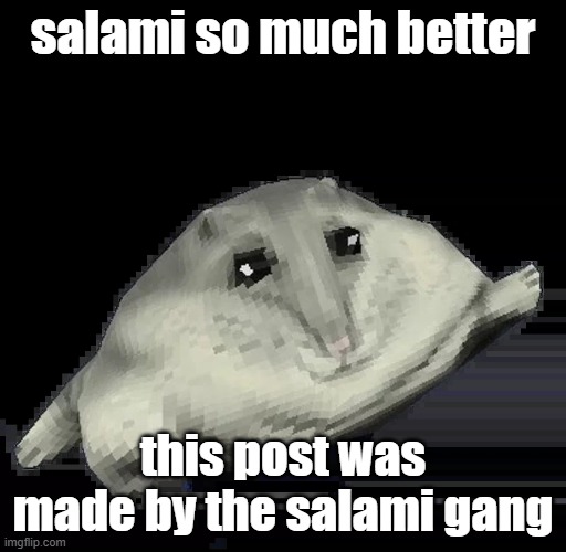 Florp | salami so much better; this post was made by the salami gang | image tagged in florp | made w/ Imgflip meme maker
