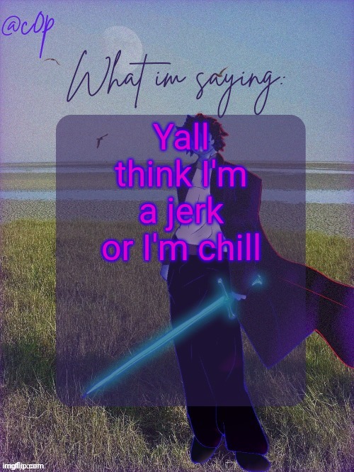 If nobody says anything I'll just assume the ladder | Yall think I'm a jerk or I'm chill | image tagged in c0p template by grace | made w/ Imgflip meme maker