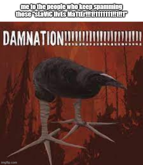 Damn Bird | me to the people who keep spamming those "sLaViC lIvEs MaTtEr!!!1!1111111!!1!!1" | image tagged in damn bird | made w/ Imgflip meme maker
