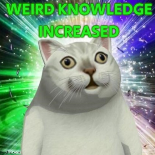 weird knowledge increased | image tagged in weird knowledge increased | made w/ Imgflip meme maker