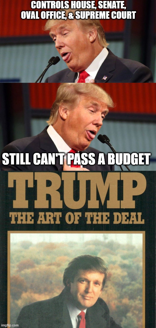 CONTROLS HOUSE, SENATE, OVAL OFFICE, & SUPREME COURT; STILL CAN'T PASS A BUDGET | image tagged in trump stupid face mocking reporter,stupid trump,art of the deal | made w/ Imgflip meme maker