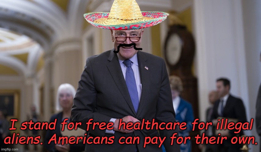 Why would he stand for America's best interests when he's trying to destroy it? | I stand for free healthcare for illegal aliens. Americans can pay for their own. | image tagged in schumer | made w/ Imgflip meme maker