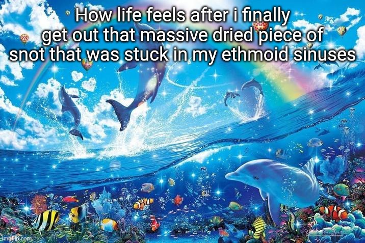 Tmi and highly specific too | How life feels after i finally get out that massive dried piece of snot that was stuck in my ethmoid sinuses | image tagged in happy dolphin rainbow | made w/ Imgflip meme maker