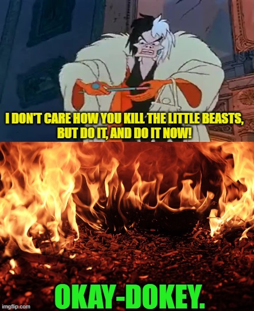 When instructions are too vague..... | image tagged in disney,villain,cruella,101 dalmatians,fire,burning | made w/ Imgflip meme maker