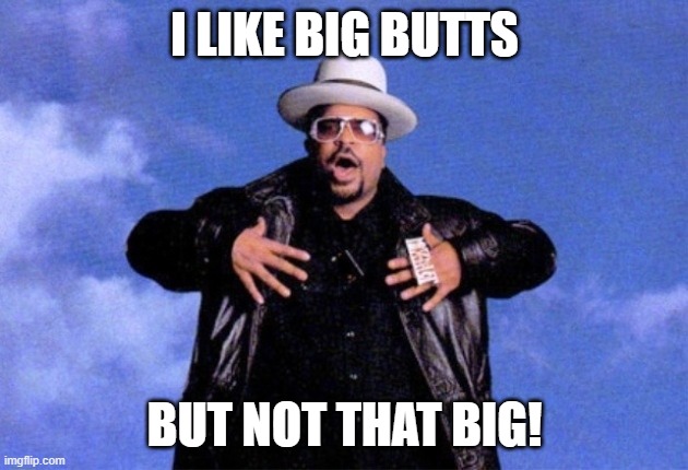 Sir Mix A Lot | I LIKE BIG BUTTS BUT NOT THAT BIG! | image tagged in sir mix a lot | made w/ Imgflip meme maker