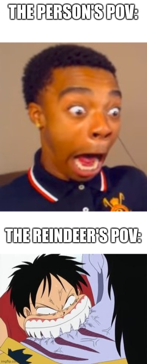 If you know, you know | THE PERSON'S POV:; THE REINDEER'S POV: | image tagged in if you know you know,tradition | made w/ Imgflip meme maker