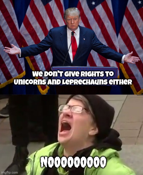 We don't give rights to Unicorns and Leprechauns either NOOOOOOOOO | image tagged in donald trump,screaming liberal | made w/ Imgflip meme maker