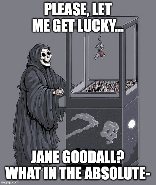 rip :( | PLEASE, LET ME GET LUCKY... JANE GOODALL? WHAT IN THE ABSOLUTE- | image tagged in grim reaper claw machine,memes,meme,sad,rip,why are you reading the tags | made w/ Imgflip meme maker