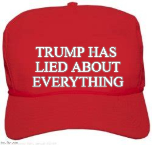 TRUMP HAS LIED ABOUT EVERYTHING | TRUMP HAS
 LIED ABOUT
 EVERYTHING | image tagged in trump has lied about everything,maga truther hat,liar liar hats on fire,trump junk | made w/ Imgflip meme maker