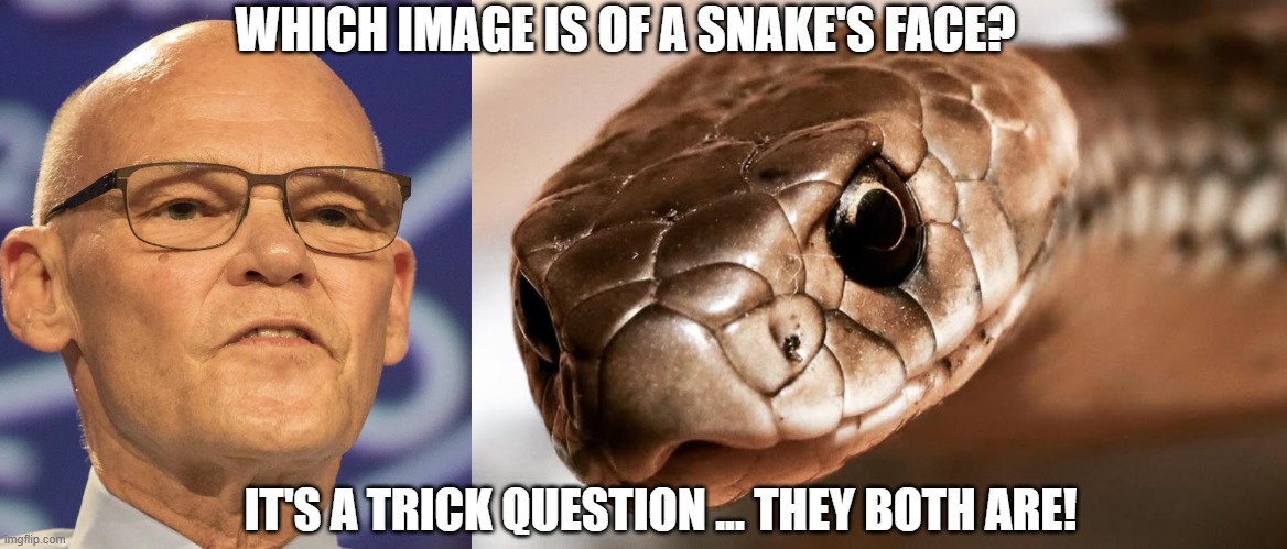 WHICH IMAGE IS OF A SNAKE'S FACE? IT'S A TRICK QUESTION ... THEY BOTH ARE! | image tagged in carville or snake | made w/ Imgflip meme maker