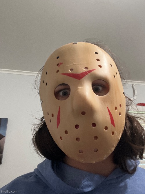 My dogs tried to fuck up my Jason mask. I think instead they made it look more accurate. | made w/ Imgflip meme maker