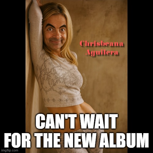 New album | CAN'T WAIT FOR THE NEW ALBUM | image tagged in christina aguillera | made w/ Imgflip meme maker