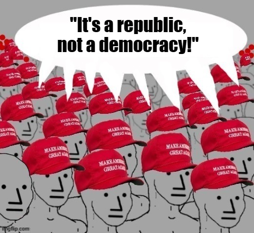 It's a republic | "It's a republic, not a democracy!" | image tagged in maga npc redhats | made w/ Imgflip meme maker