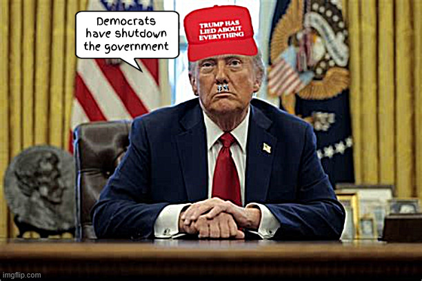 Trump lies about Democrats | Democrats have shutdown the government | image tagged in trump lies about democrats,dump trump,liar liar hats on fire,repeal no replace,i can six it,promises made promises broken | made w/ Imgflip meme maker