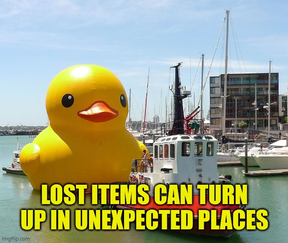 Lost items can turn up in unexpected places | LOST ITEMS CAN TURN UP IN UNEXPECTED PLACES | image tagged in duck,lost | made w/ Imgflip meme maker