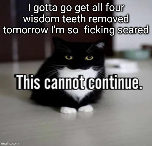 This cannot continue. | I gotta go get all four wisdom teeth removed tomorrow I'm so  ficking scared | image tagged in this cannot continue | made w/ Imgflip meme maker