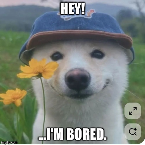 im bored. | HEY! ...I'M BORED. | image tagged in funny | made w/ Imgflip meme maker