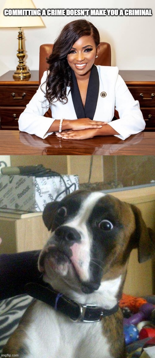 COMMITTING A CRIME DOESN'T MAKE YOU A CRIMINAL | image tagged in jasmine crockett,blankie the shocked dog | made w/ Imgflip meme maker