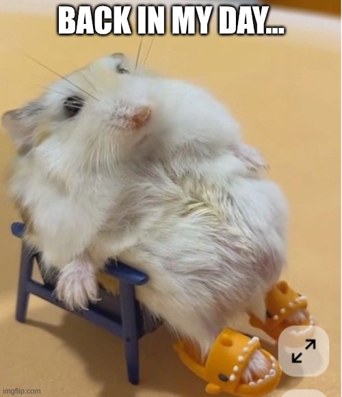 BACK IN MY DAY... | made w/ Imgflip meme maker