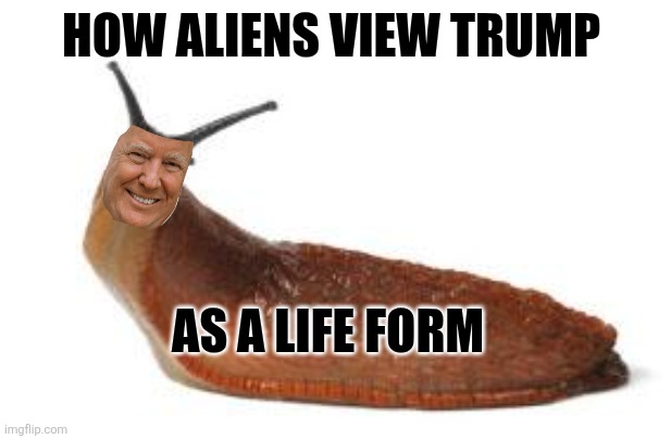 slug life | HOW ALIENS VIEW TRUMP AS A LIFE FORM | image tagged in slug life | made w/ Imgflip meme maker
