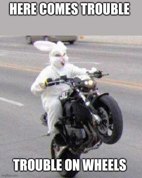 Here comes trouble | HERE COMES TROUBLE; TROUBLE ON WHEELS | image tagged in funny bunny motorcycle wheelie,funny memes | made w/ Imgflip meme maker